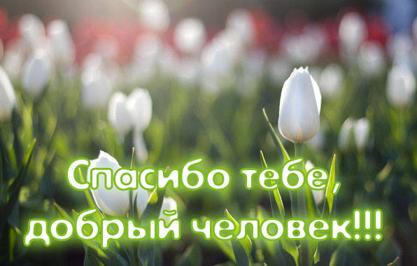 http://telbukov-pavel.ucoz.ru/_nw/1/43323484.jpg